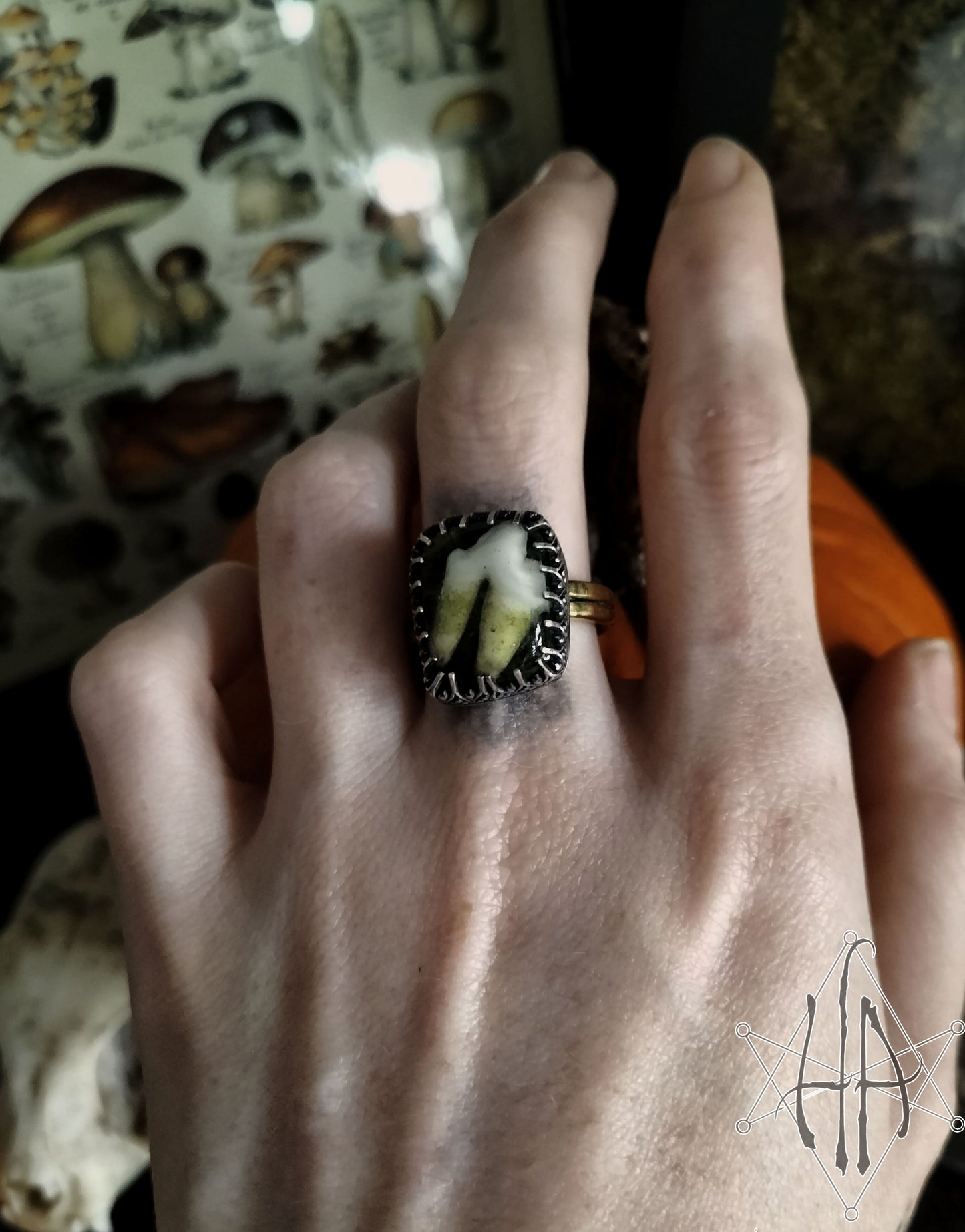 Fox Tooth Shadowbox Ring