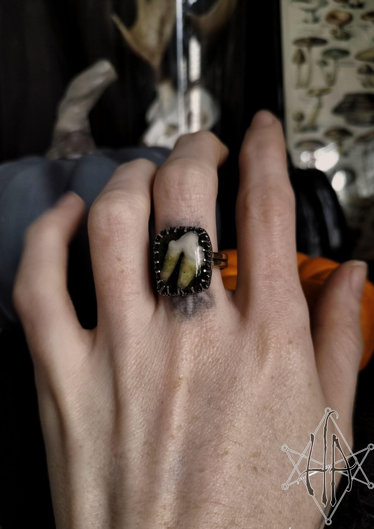 Fox Tooth Shadowbox Ring