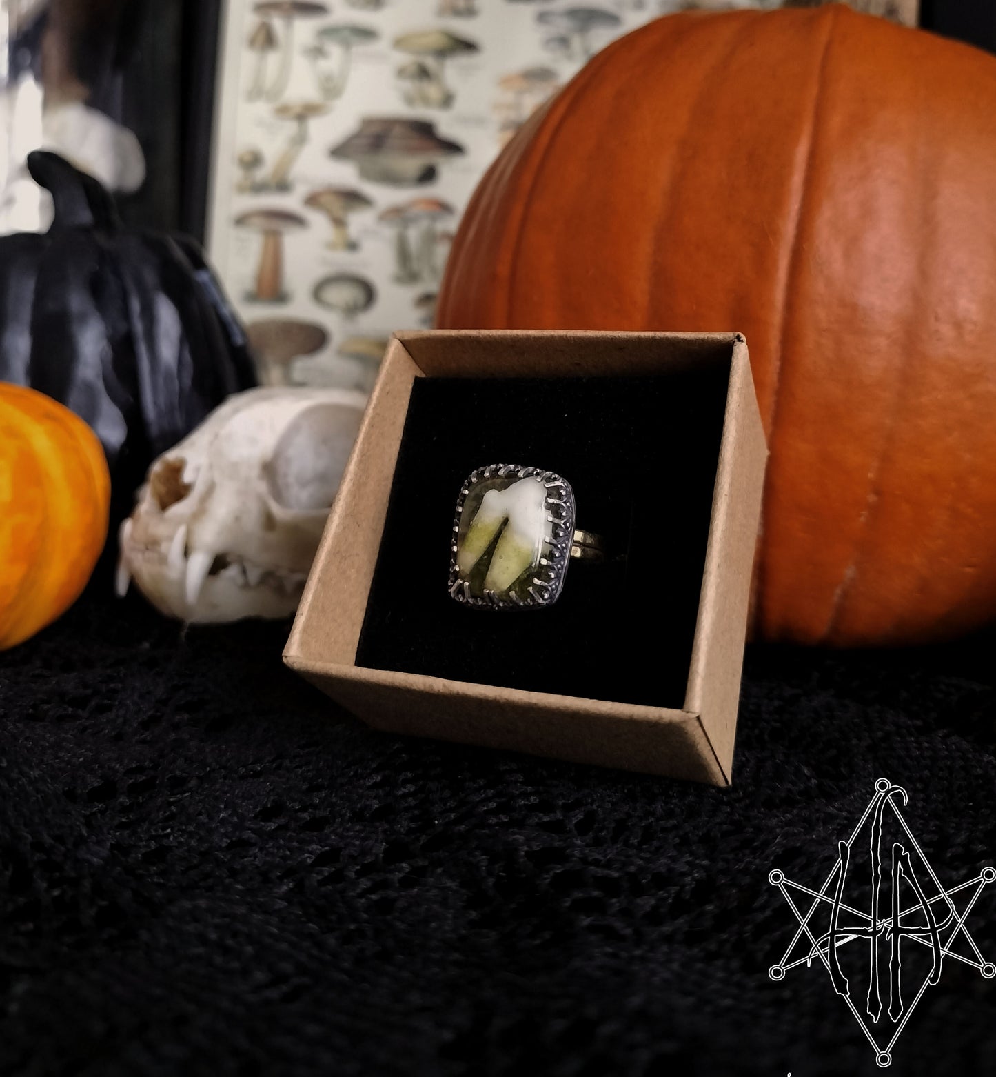 Fox Tooth Shadowbox Ring