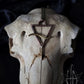 Sacred Occult Triangle Elemental Necklace
